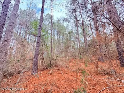 Busy Corner Road, Gloster, MS 39638 photo 8
