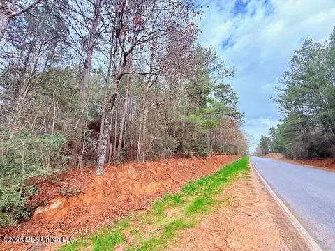 Busy Corner Road, Gloster, MS 39638 photo 23