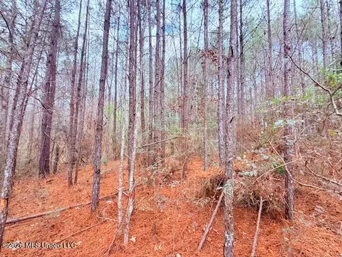 Busy Corner Road, Gloster, MS 39638 photo 7