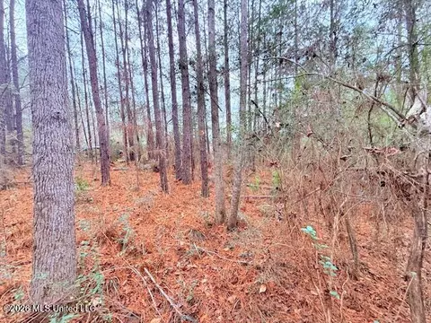 Busy Corner Road, Gloster, MS 39638 photo 10