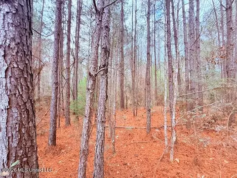 Busy Corner Road, Gloster, MS 39638 photo 5