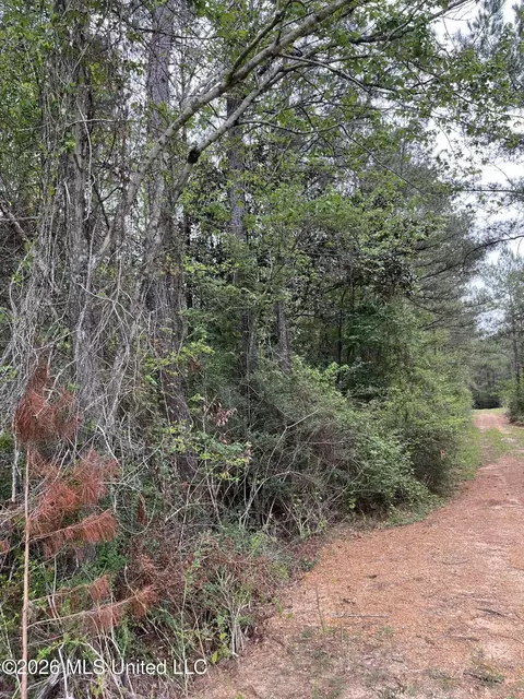 Hwy 49, Brooklyn, MS 39425