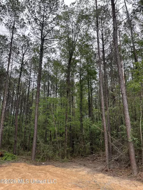 Hwy 49, Brooklyn, MS 39425 photo 3