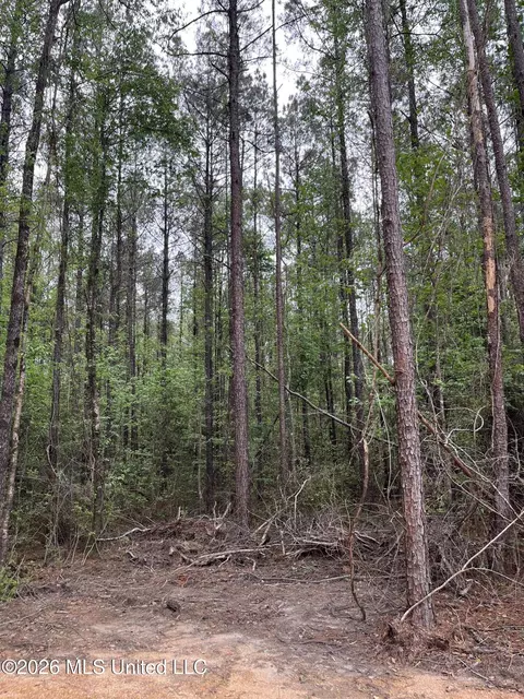 Hwy 49, Brooklyn, MS 39425 photo 4