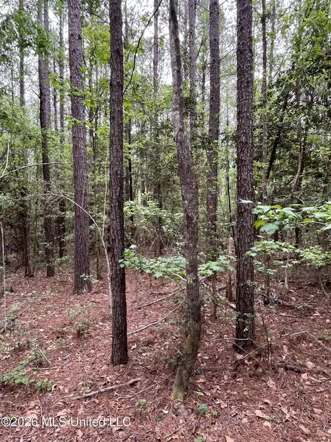 Hwy 49, Brooklyn, MS 39425 photo 2