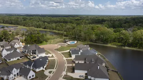 View/Area - 314 Penrose Pl, Madison, MS 39110 photo 1 of 1