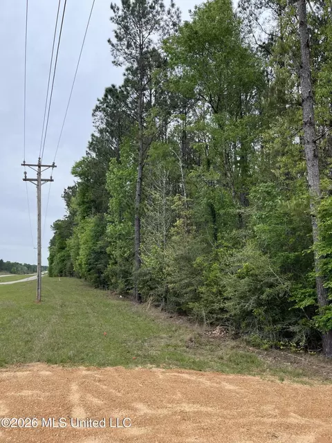 U.s. 49, Brooklyn, MS 39425 photo 4
