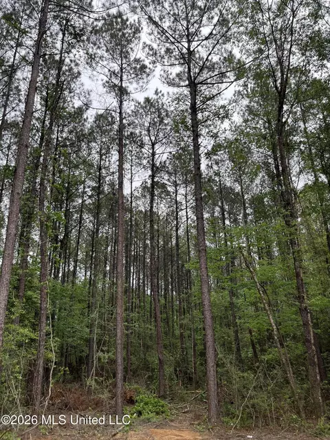 U.s. 49, Brooklyn, MS 39425