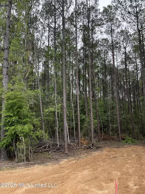 U.s. 49, Brooklyn, MS 39425 photo 5
