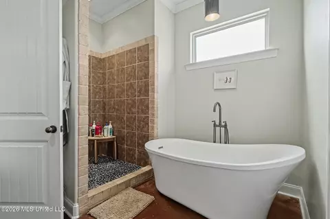 Bath - 1808 Malone Rd, Nesbit, MS 38651 photo 1 of 4