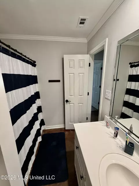 Bath - 1007 Cobblestone Pl, Brandon, MS 39042 photo 3 of 6