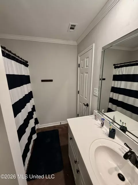 Bath - 1007 Cobblestone Pl, Brandon, MS 39042 photo 2 of 6