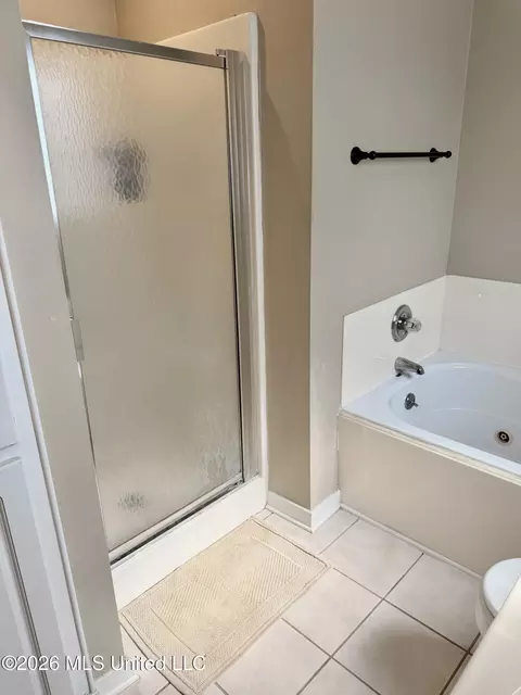 Bath - 1007 Cobblestone Pl, Brandon, MS 39042 photo 5 of 6