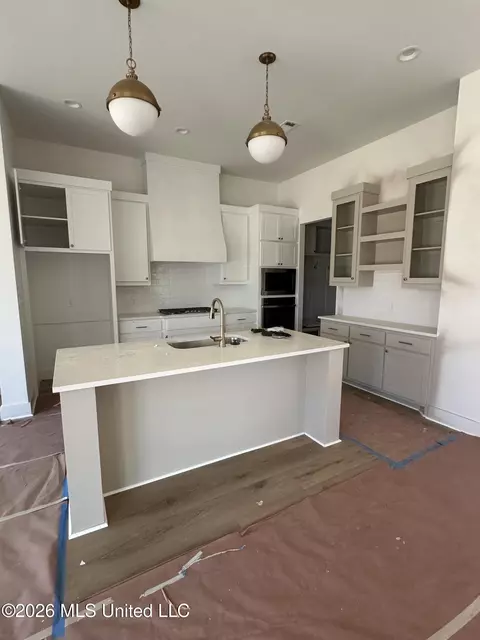 Kitchen - 564 Lavender Way, Canton, MS 39046 photo 1 of 2