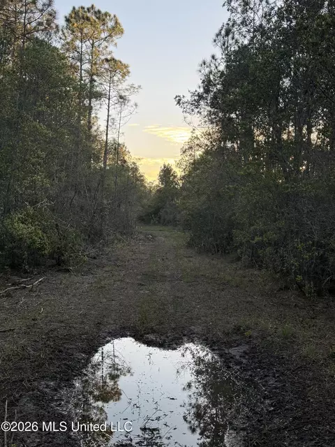 0 Forts Lake Rd, Moss Point, MS 39562 photo 7