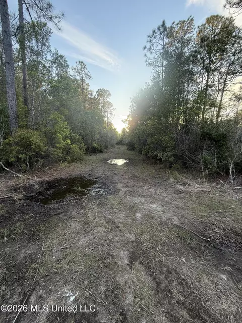 0 Forts Lake Rd, Moss Point, MS 39562 photo 2