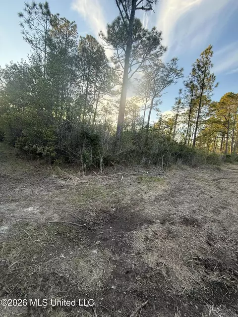 0 Forts Lake Rd, Moss Point, MS 39562 photo 4