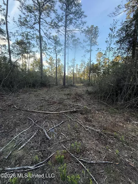 0 Forts Lake Rd, Moss Point, MS 39562 photo 5