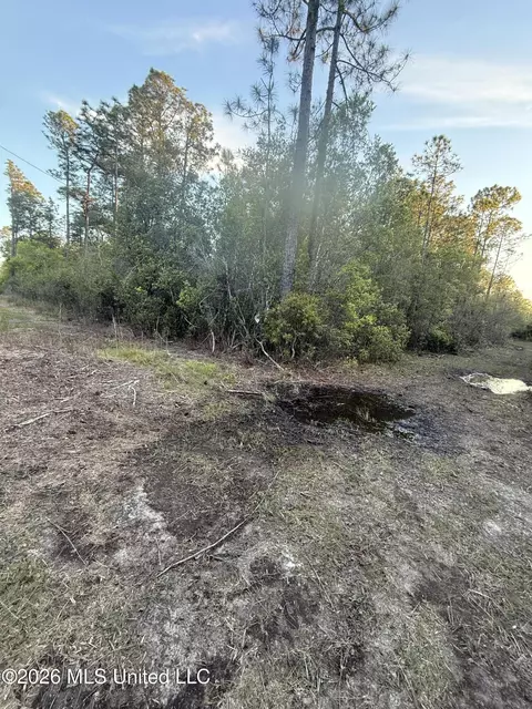 0 Forts Lake Rd, Moss Point, MS 39562 photo 3