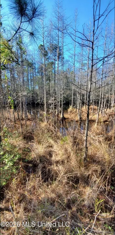 0 Forts Lake Rd, Moss Point, MS 39562 photo 8