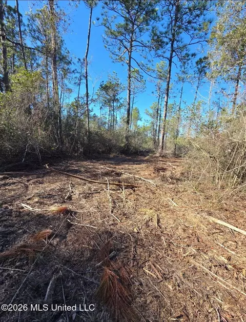 0 Forts Lake Rd, Moss Point, MS 39562 photo 9
