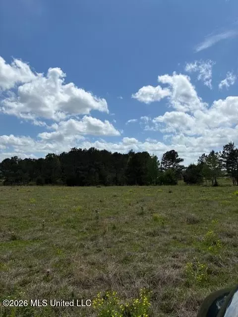 331 D Williams Rd, Morton, MS 39117 photo 2
