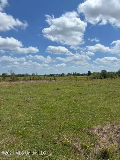 331 D Williams Rd, Morton, MS 39117 photo 5
