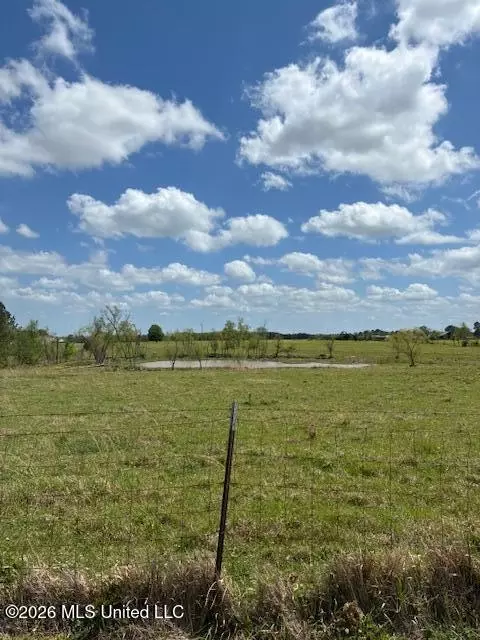 331 D Williams Rd, Morton, MS 39117 photo 4