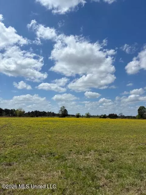 331 D Williams Rd, Morton, MS 39117 photo 6