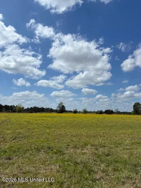 331 D Williams Rd, Morton, MS 39117 photo 3