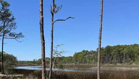 Grand Bature Road, Moss Point, MS 39562