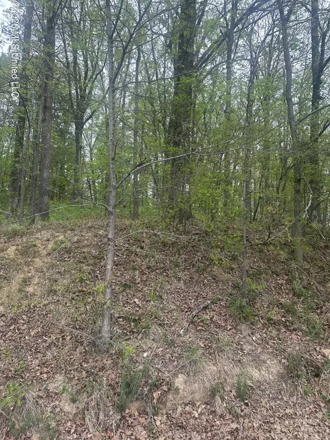 87688750 Bob White Dr, Hernando, MS 38632