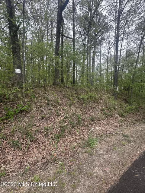 87688750 Bob White Dr, Hernando, MS 38632 photo 6
