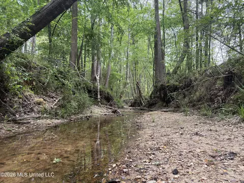 NE Forest Trail, Brookhaven, MS 39601
