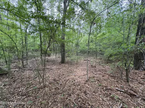 NE Forest Trail, Brookhaven, MS 39601 photo 3