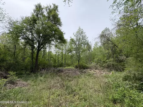 NE Forest Trail, Brookhaven, MS 39601 photo 9