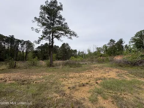 NE Forest Trail, Brookhaven, MS 39601 photo 11