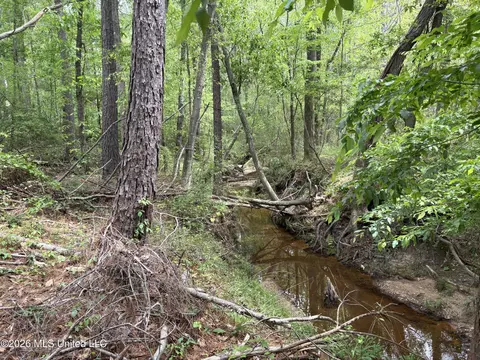 NE Forest Trail, Brookhaven, MS 39601 photo 2