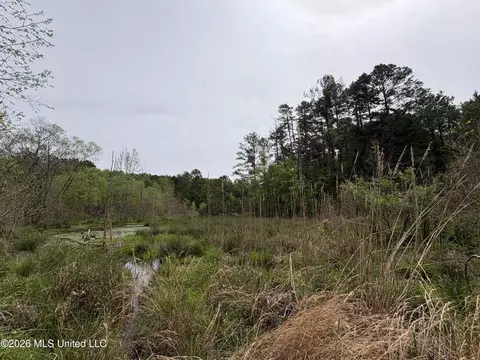 NE Forest Trail, Brookhaven, MS 39601 photo 4