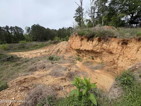 NE Forest Trail, Brookhaven, MS 39601 photo 10