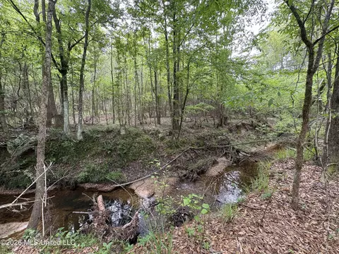 NE Forest Trail, Brookhaven, MS 39601 photo 6