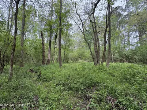 NE Forest Trail, Brookhaven, MS 39601 photo 8