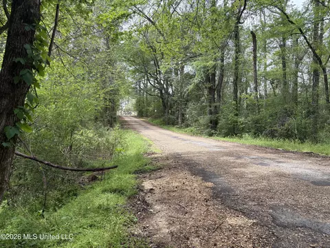 NE Forest Trail, Brookhaven, MS 39601 photo 14