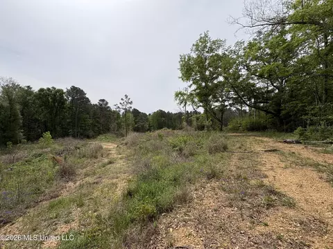 NE Forest Trail, Brookhaven, MS 39601 photo 12
