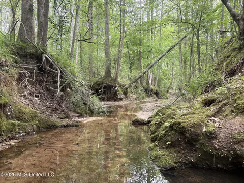 NE Forest Trail, Brookhaven, MS 39601 photo 7