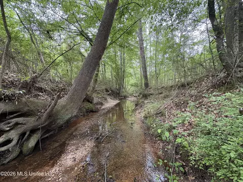NE Forest Trail, Brookhaven, MS 39601 photo 5