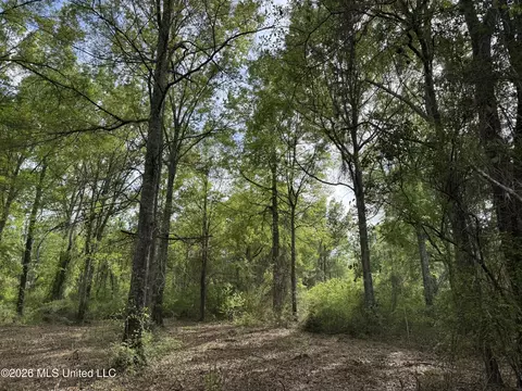 1203 Love St, Brookhaven, MS 39601 photo 30