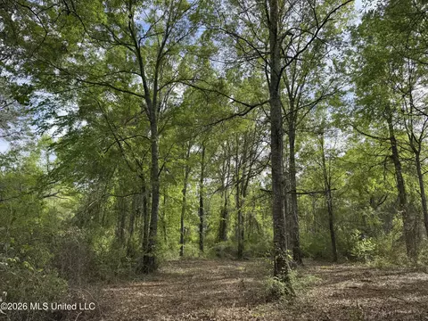 1203 Love St, Brookhaven, MS 39601 photo 29
