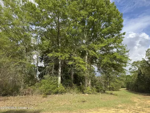 1203 Love St, Brookhaven, MS 39601 photo 24