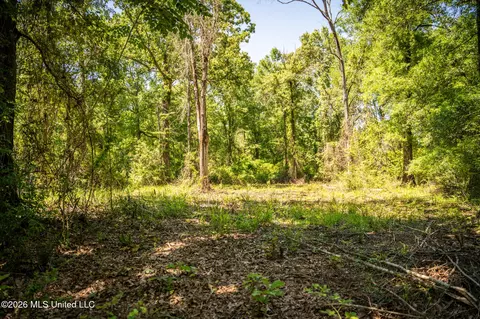 1203 Love St, Brookhaven, MS 39601 photo 10